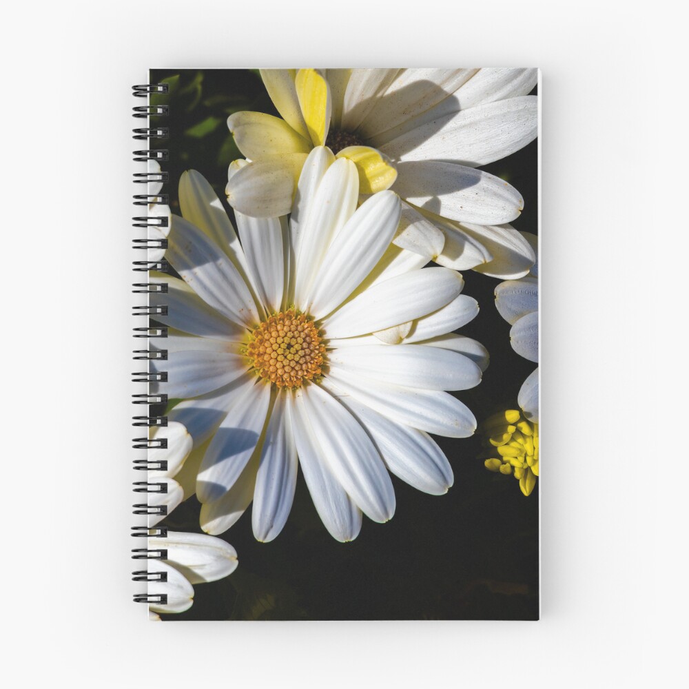 Item preview, Spiral Notebook designed and sold by RalphGoldsmith.