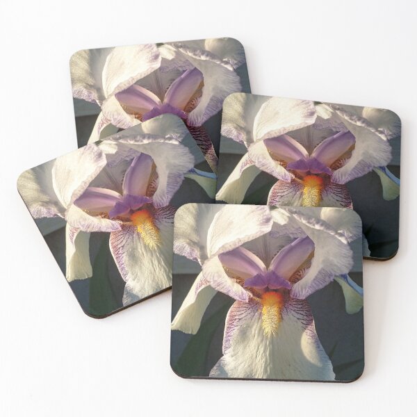 Item preview, Orchid  designed and sold by OnigiriSuiko.