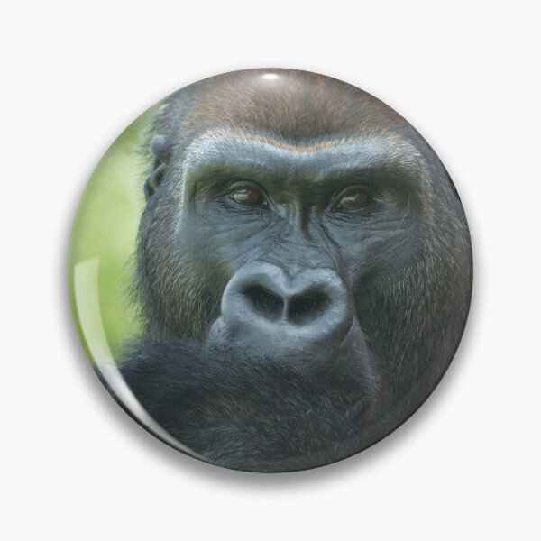 Item preview, Adorable Thumb-Sucking Gorilla Seeks a Loving Home! designed and sold by rawshutterbug.