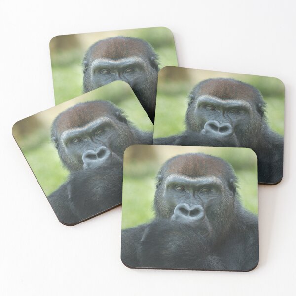 Item preview, Adorable Thumb-Sucking Gorilla Seeks a Loving Home! designed and sold by rawshutterbug.