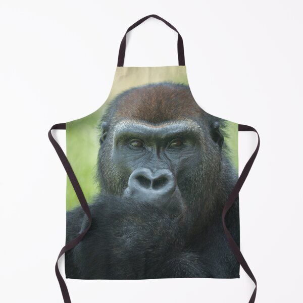 Item preview, Adorable Thumb-Sucking Gorilla Seeks a Loving Home! designed and sold by rawshutterbug.