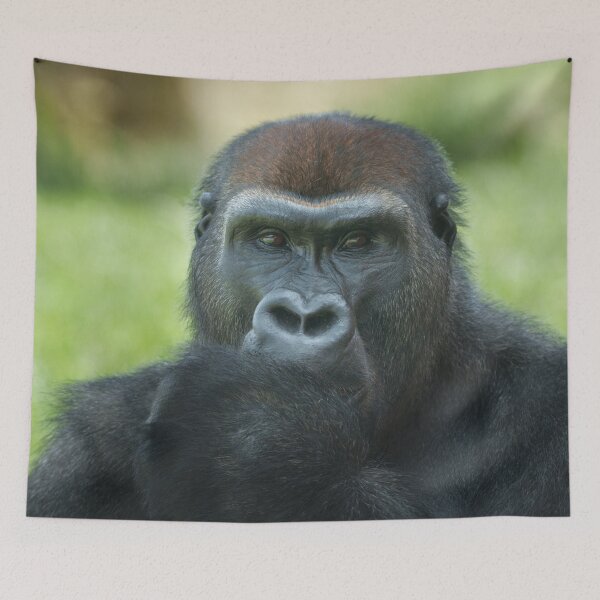 Item preview, Adorable Thumb-Sucking Gorilla Seeks a Loving Home! designed and sold by rawshutterbug.