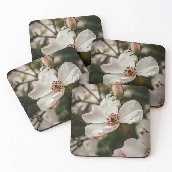 Item preview, Blossoming designed and sold by JMBriggs.
