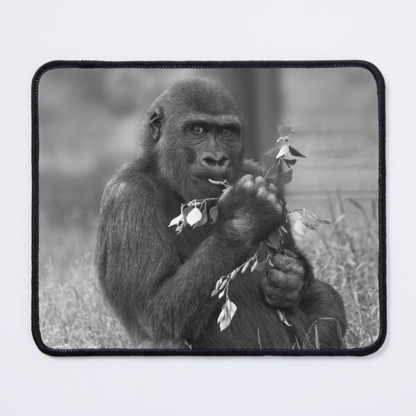 Item preview, Cheeky Gorilla Lope Mono designed and sold by rawshutterbug.