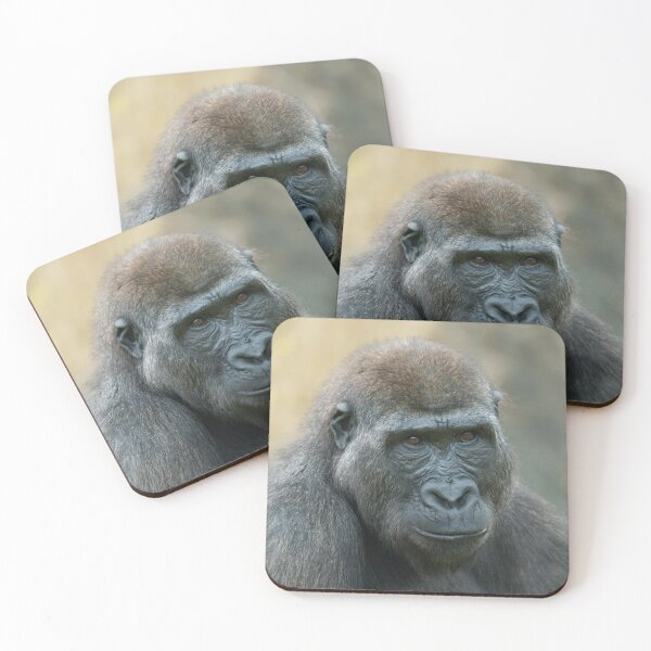 Item preview, Shufai: A Curious and Mischievous Gorilla designed and sold by rawshutterbug.