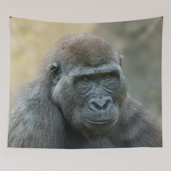 Item preview, Shufai: A Curious and Mischievous Gorilla designed and sold by rawshutterbug.