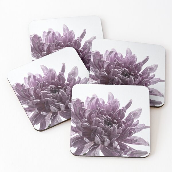 Item preview, Purple Bloom designed and sold by JMBriggs.