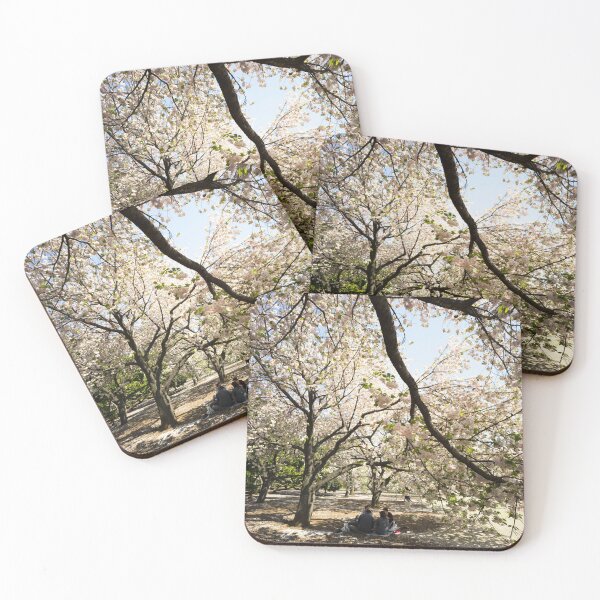 Item preview, Catch up under the Blossoms - Sakura - Tokyo, Japan designed and sold by Norman Repacholi | Keystone Photography.