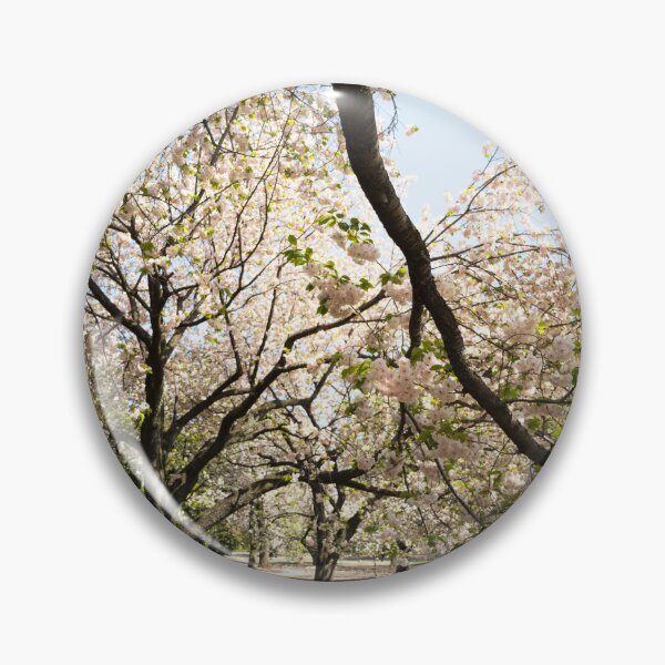 Item preview, Catch up under the Blossoms - Sakura - Tokyo, Japan designed and sold by Norman Repacholi | Keystone Photography.