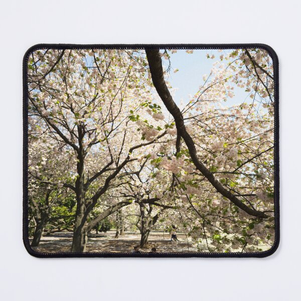 Item preview, Catch up under the Blossoms - Sakura - Tokyo, Japan designed and sold by Norman Repacholi | Keystone Photography.