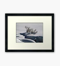 Winter Scene Framed Print