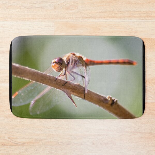 Item preview, Beautiful dragonfly in the summer sunshine designed and sold by Your Happy Life.