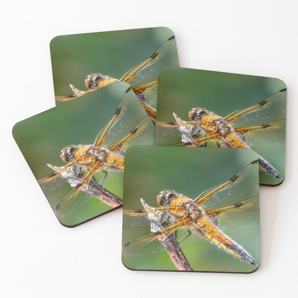 Item preview, Beautiful dragonfly in the summer sunshine designed and sold by Your Happy Life.