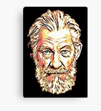 ian mckellen Canvas Print