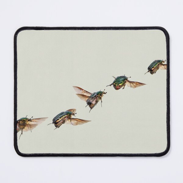 Item preview, Bug designed and sold by KNBS.