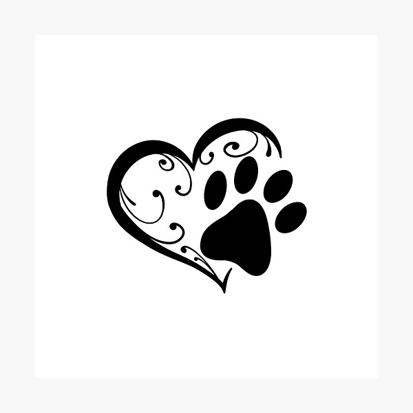Paw tattoo shadowing and placement | Pawprint tattoo, Paw tattoo, Dog paw  tattoo