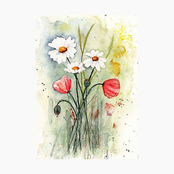 Aperçu de l'œuvre Prairie sauvage avec marguerites et coquelicots, aquarelle créée et vendue par Cacatuart.