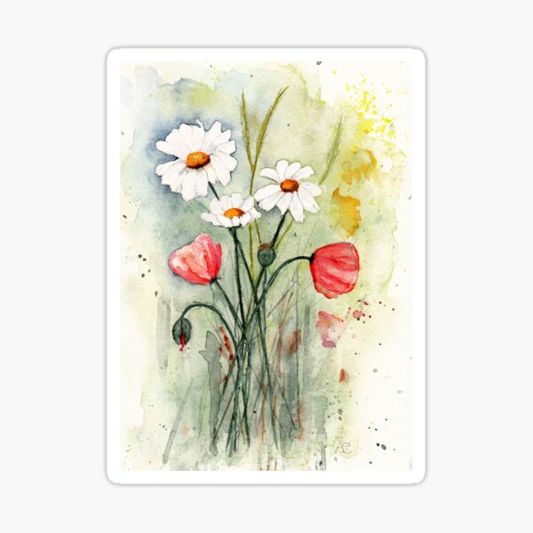Wildwiese mit Margeriten und Mohn, Aquarellbild Sticker