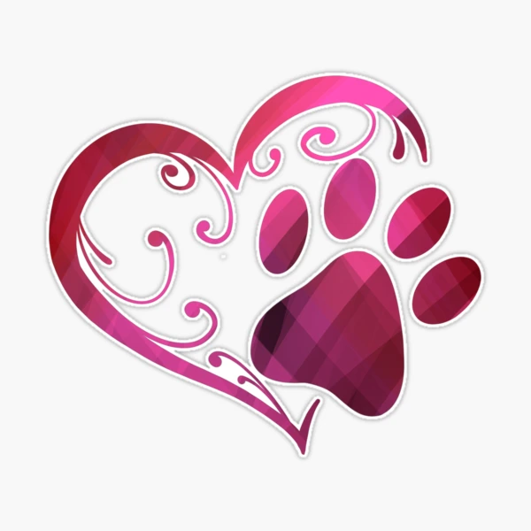 Porta-cestos De Bicicleta Portátil Para Cães E Gatos Com Alç | Frete Grátis