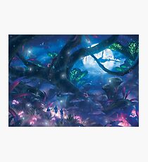 Noctilum (Only 50!) Photographic Print