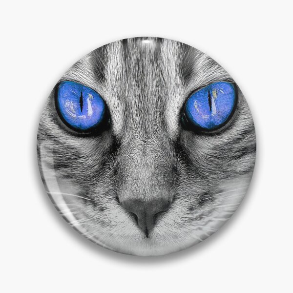 Artikelvorschau, Feline Intensity Graues Kätzchen entworfen und verkauft von CattyCornerPOD.