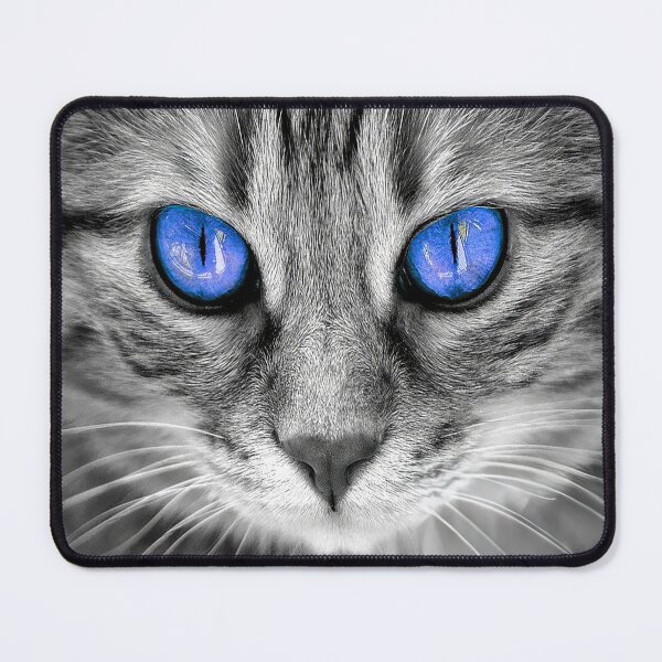 Artikelvorschau, Feline Intensity Graues Kätzchen entworfen und verkauft von CattyCornerPOD.