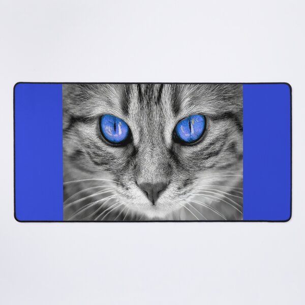 Artikelvorschau, Feline Intensity Graues Kätzchen entworfen und verkauft von CattyCornerPOD.