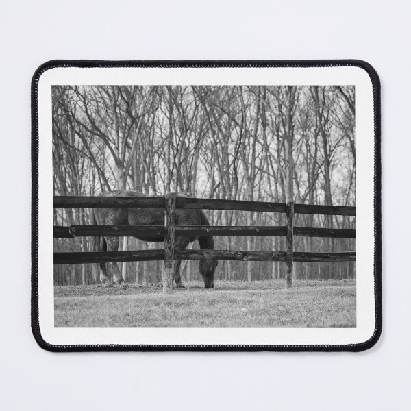 Item preview, Horse in black and white designed and sold by Mark Clodfelter.