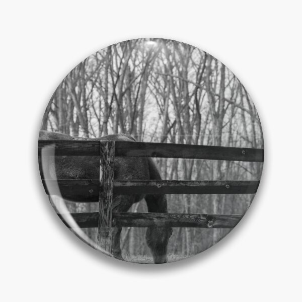 Item preview, Horse in black and white designed and sold by Mark Clodfelter.