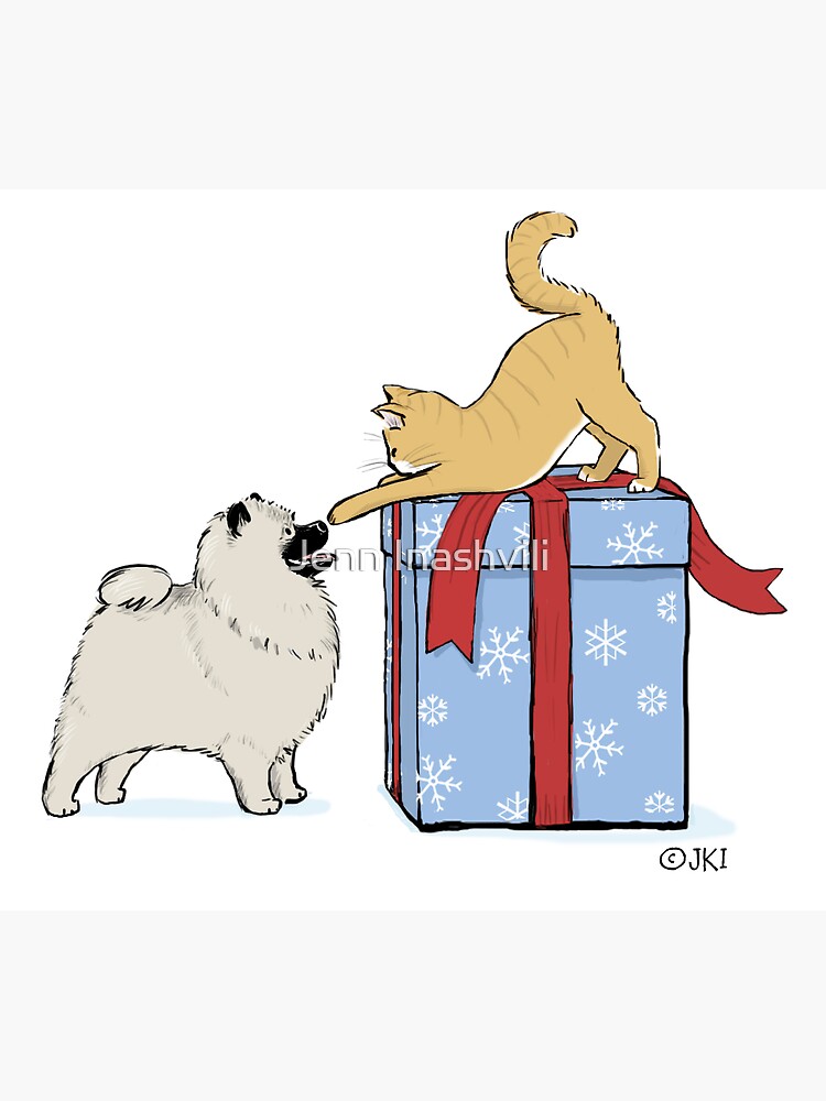 Keeshond Puppy and Kitten