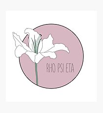 Rho Psi Eta Lily - Dusty Pink Photographic Print