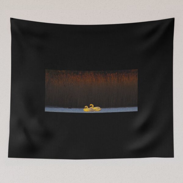 Item preview, SWAN SUNRISE  designed and sold by NICK COBURN PHILLIPS.