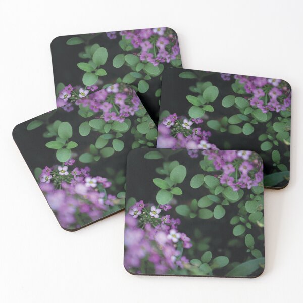Item preview, Beautiful Alyssum designed and sold by OneCreativePup.