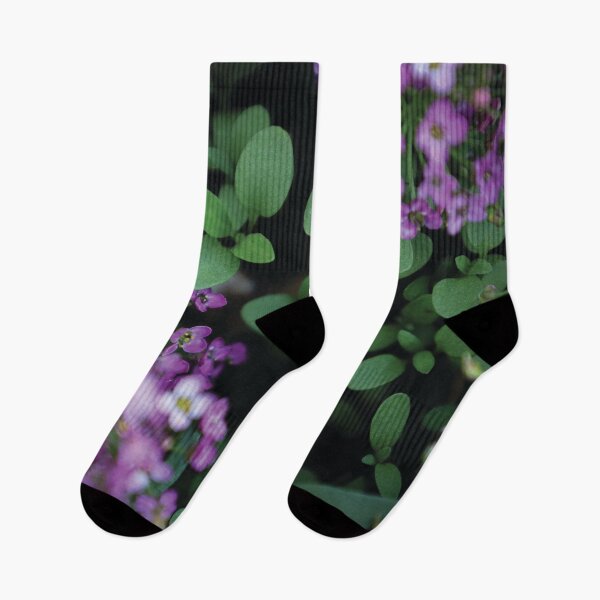 Item preview, hermosa alyssum designed and sold by OneCreativePup.