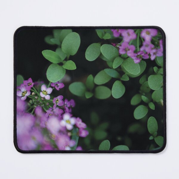 Item preview, Beautiful Alyssum designed and sold by OneCreativePup.