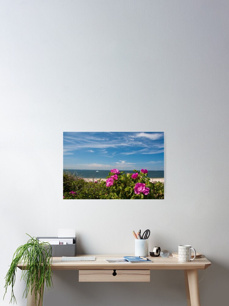 Thumbnail 1 of 3, Poster, Nice flowers at Cedar Beach, Mount Sinai, NY designed and sold by jaymorena.