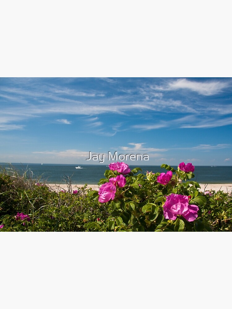 Thumbnail 3 of 3, Poster, Nice flowers at Cedar Beach, Mount Sinai, NY designed and sold by jaymorena.