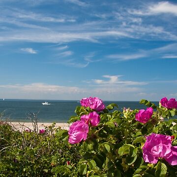 Artwork thumbnail, Nice flowers at Cedar Beach, Mount Sinai, NY by Jay Morena