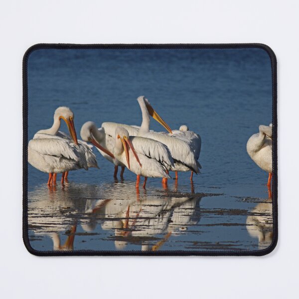 Item preview, Lighthearted Hijinks designed and sold by Michiale.