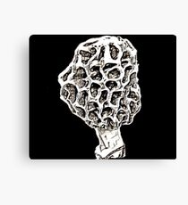 Morel Sketching Canvas Print