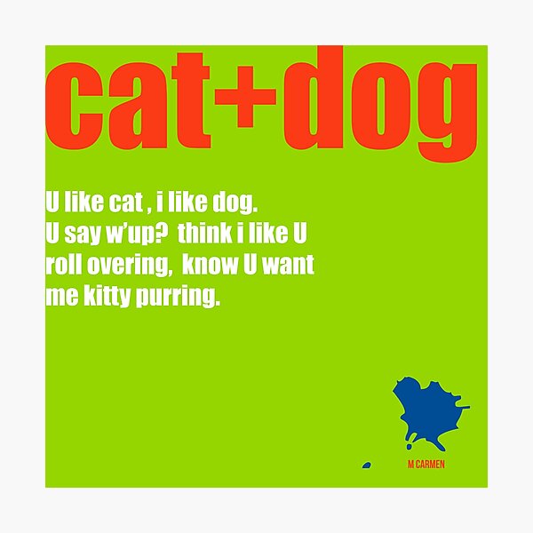 cat+dog Photographic Print