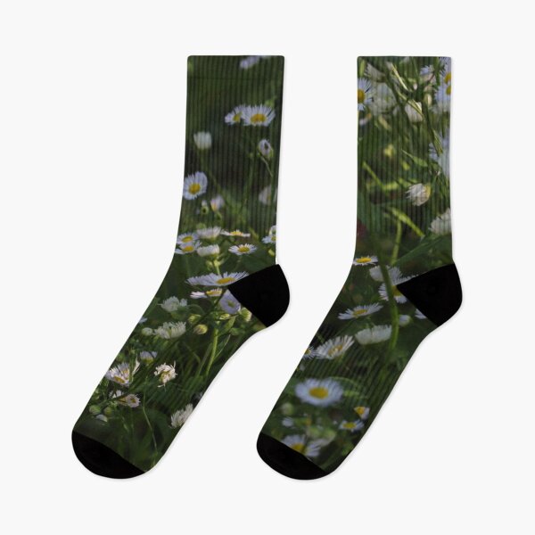 Item preview, Daisies designed and sold by Shyla Seepersad.