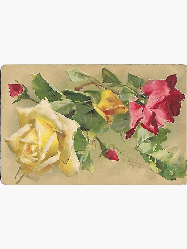 Dried Roses Poster for Sale by tomorrowsart