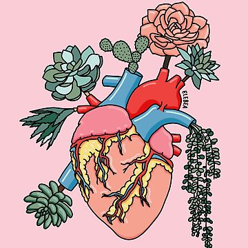 Artwork thumbnail, Succulent heart by Sasa Elebea by elebea