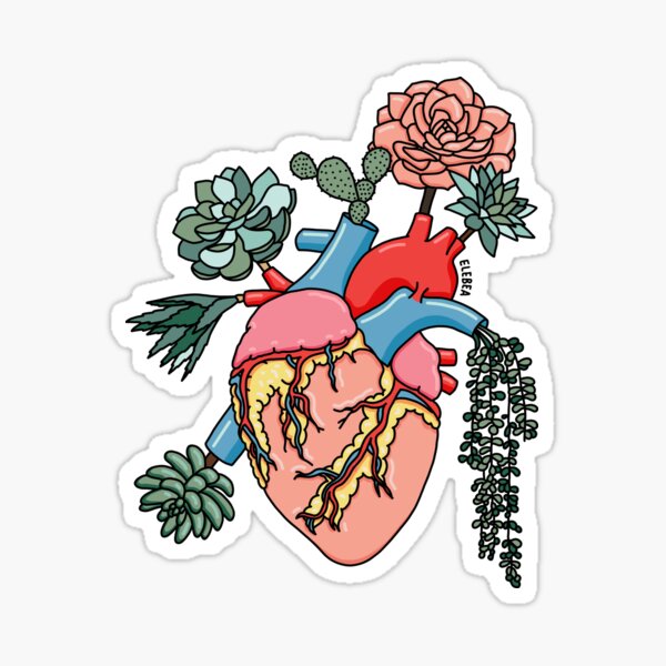 Succulent heart by Sasa Elebea Sticker