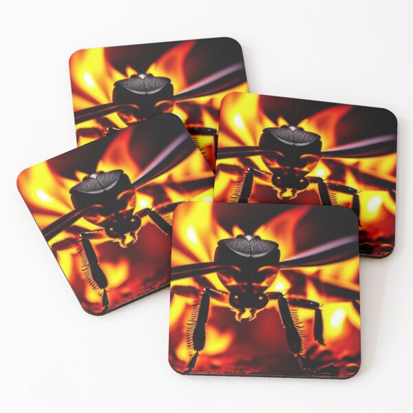 Item preview, Burning Ember Beatle designed and sold by Source919.
