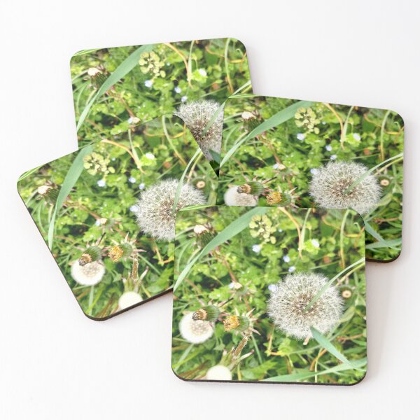Item preview, Dandelion, top view in a grass. designed and sold by Dream-dust.