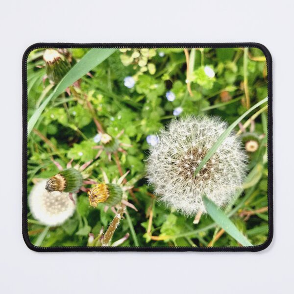 Item preview, Dandelion, top view in a grass. designed and sold by Dream-dust.