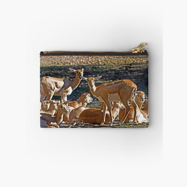Item preview, Blackbuck Female And Fawns designed and sold by miroslava.