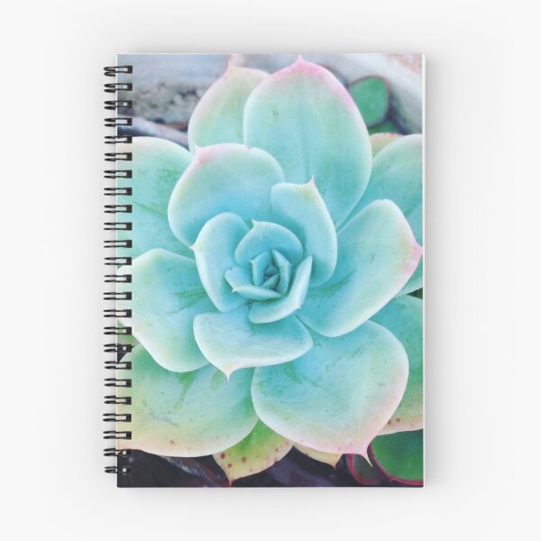 Item preview, A Succulent Succulent designed and sold by Shellgirlpearl.